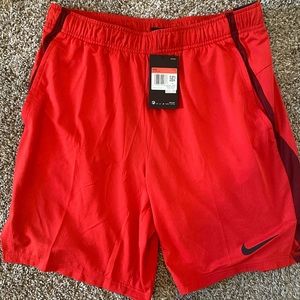 NWT Mens Nike Dri-Fit shorts